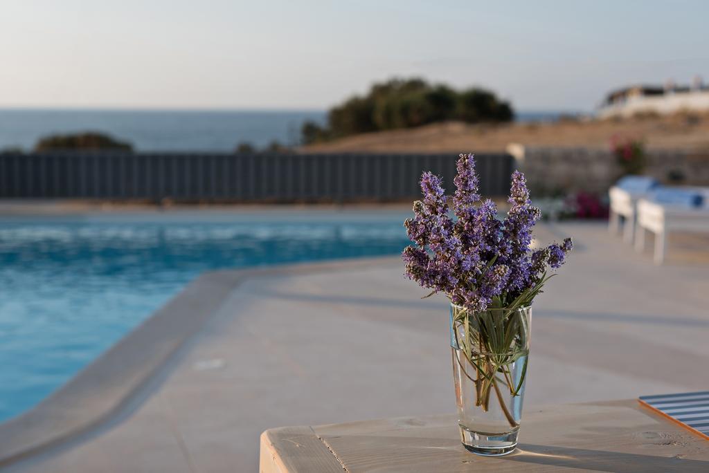 Lygaries Villas Panormos  Phòng bức ảnh