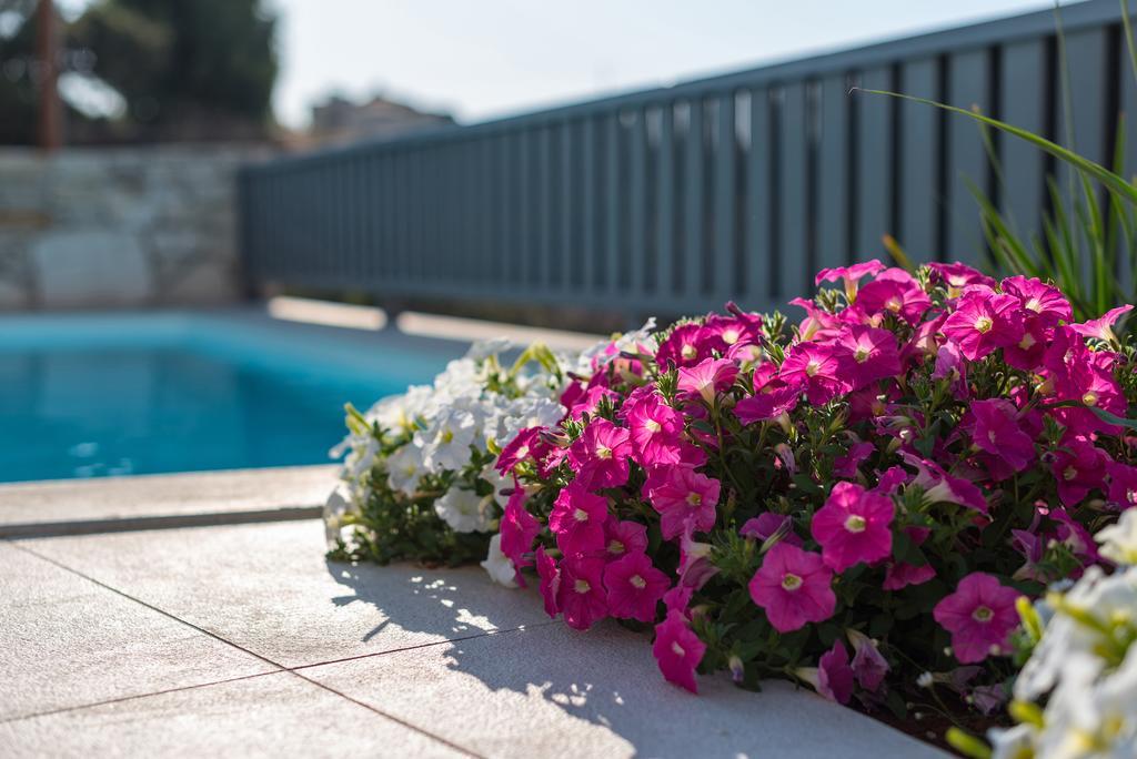 Lygaries Villas Panormos  Phòng bức ảnh